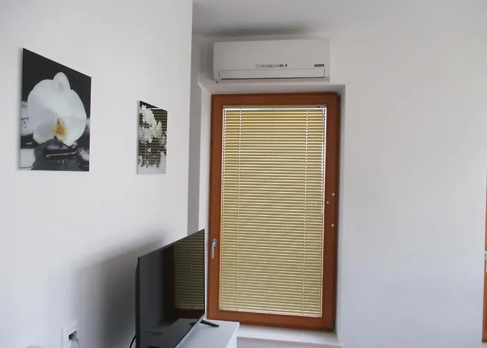 Apartment Comfy And Bright